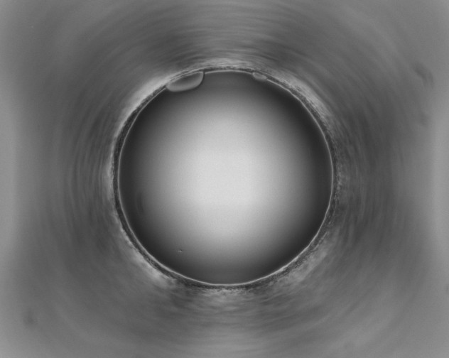 X0000112540902200908171439