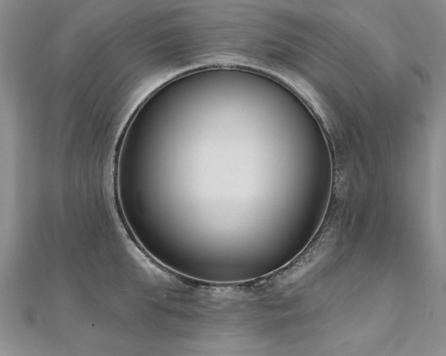 X0000112540903200908171439