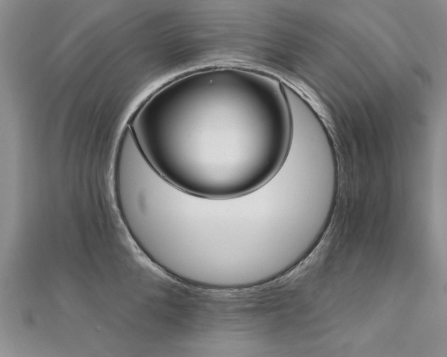 X0000112540904200908171439