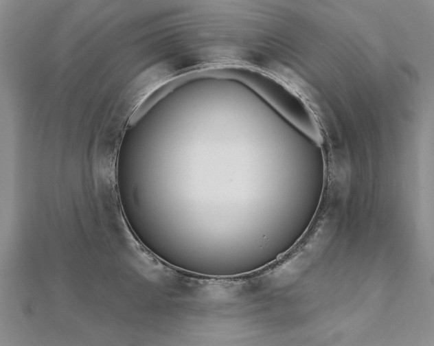 X0000112540905200908171439