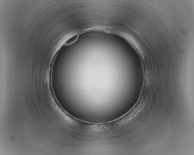 X0000112540906200908171439