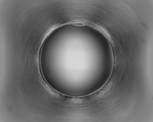 X0000112540907200908171439