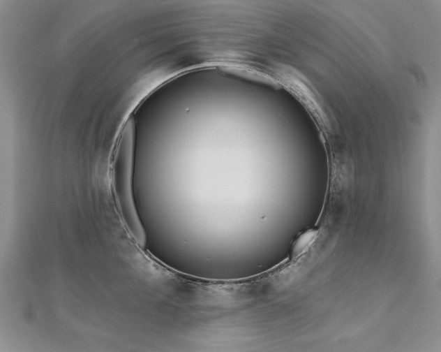 X0000112540908200908171439