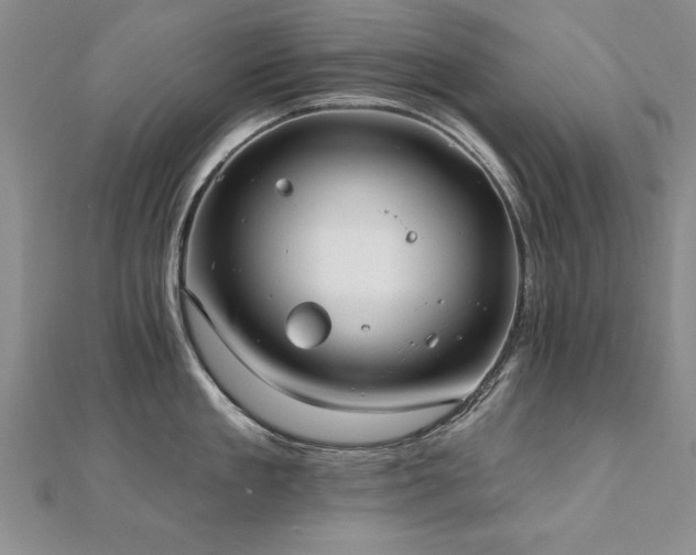 X0000112540909200908171439