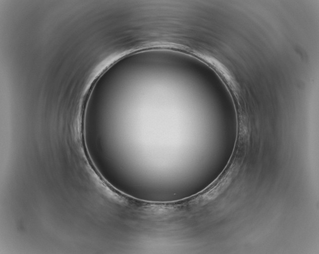 X0000112540910200908171439