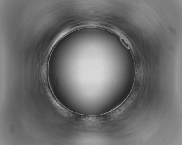 X0000112540911200908171439