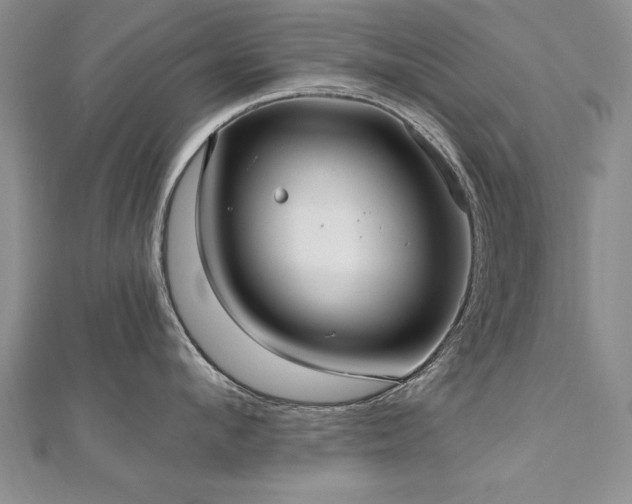 X0000112540912200908171439
