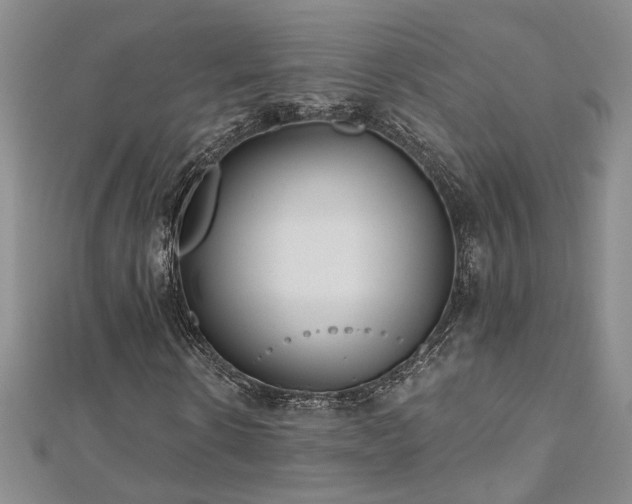 X0000112540914200908171439