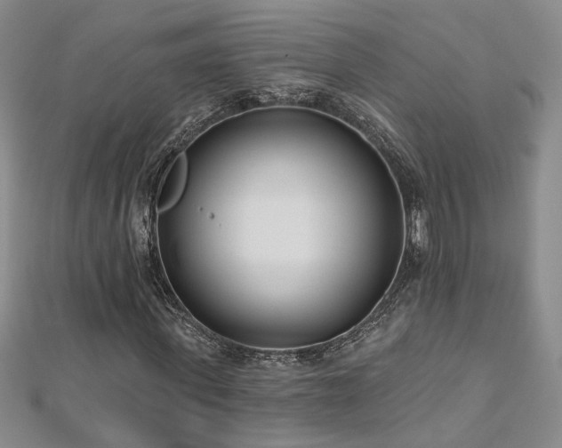 X0000112540915200908171439