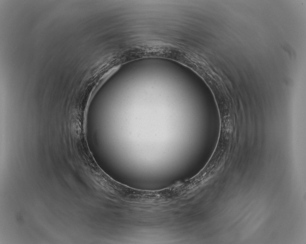 X0000112540916200908171439