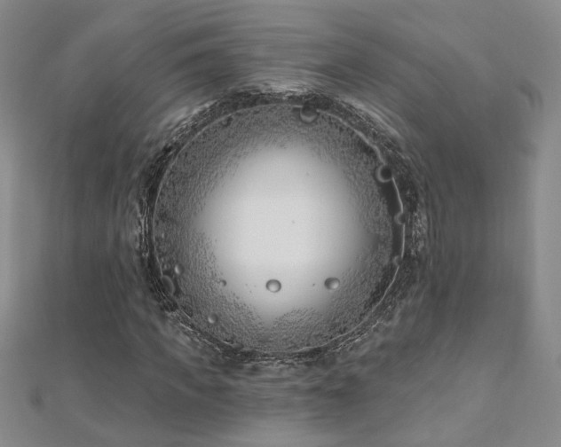 X0000112540917200908171439