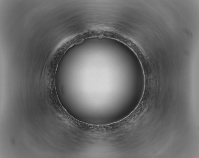 X0000112540919200908171439