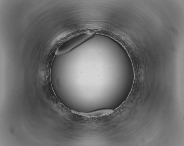 X0000112540920200908171439