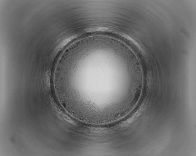 X0000112540921200908171439