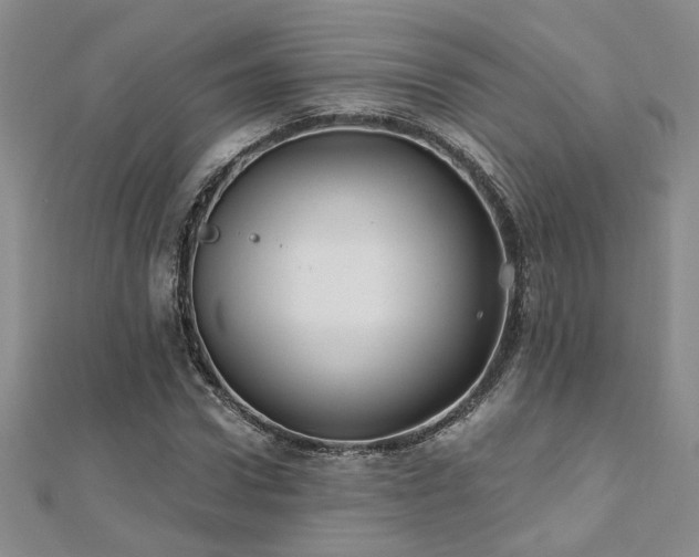 X0000112540922200908171439