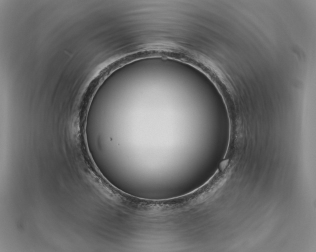 X0000112540923200908171439