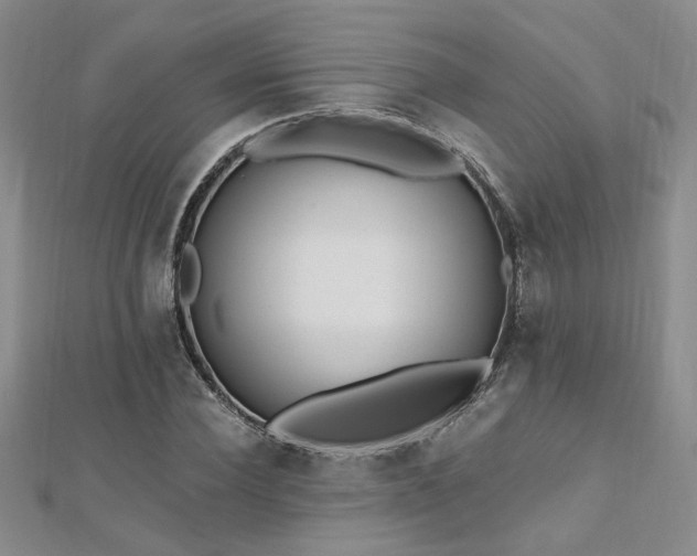 X0000112540924200908171439