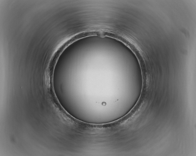X0000112540925200908171439