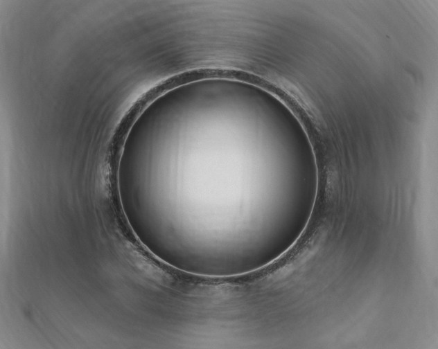 X0000112540926200908171439