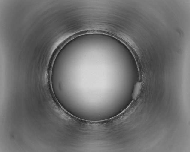 X0000112540928200908171439