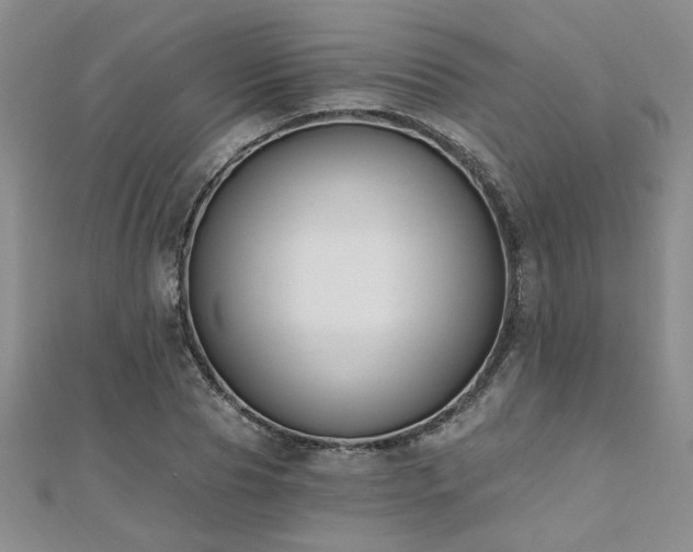 X0000112540929200908171439