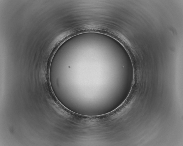 X0000112540930200908171439