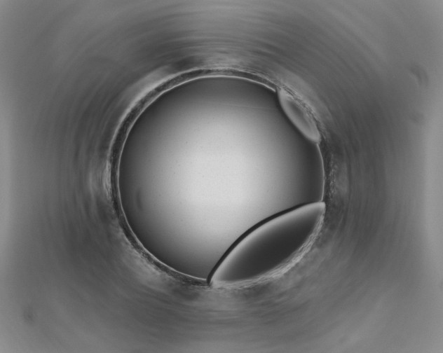 X0000112540932200908171439