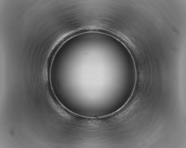 X0000112540934200908171439
