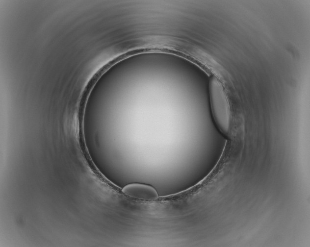 X0000112540936200908171439
