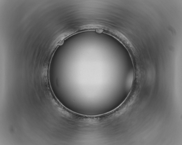 X0000112540937200908171439