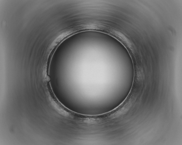 X0000112540938200908171439
