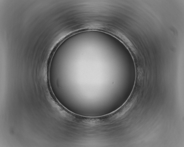 X0000112540939200908171439