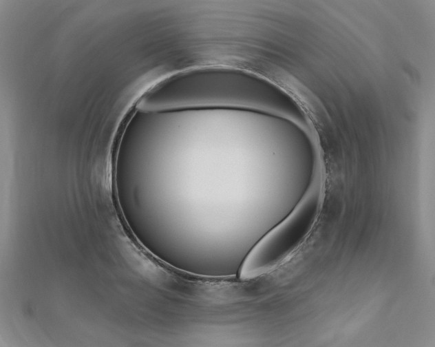 X0000112540940200908171439