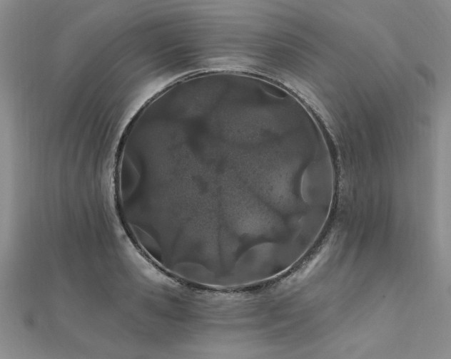 X0000112540941200908171439