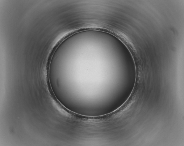 X0000112540942200908171439