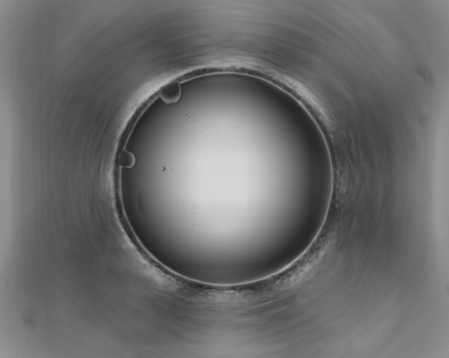 X0000112540943200908171439