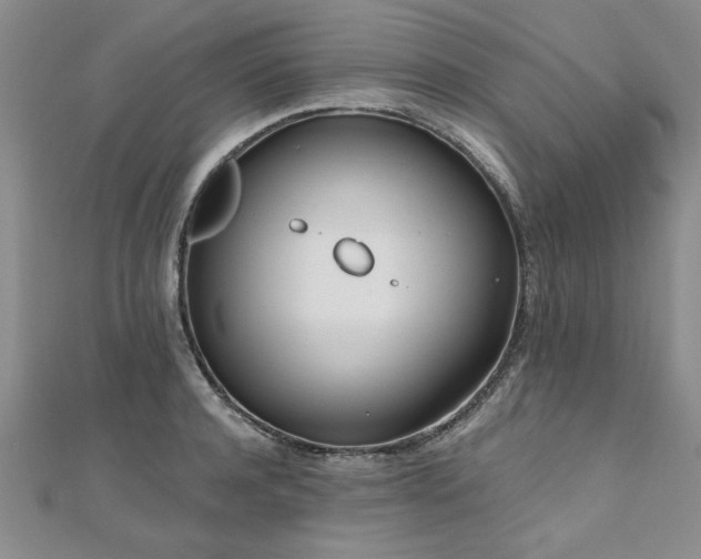 X0000112540944200908171439