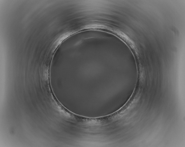 X0000112540945200908171439