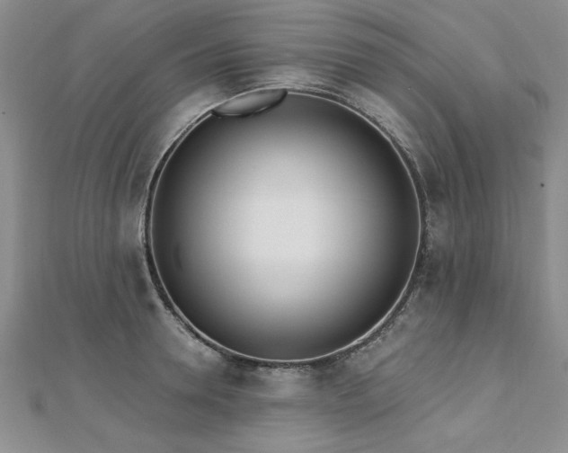 X0000112540946200908171439