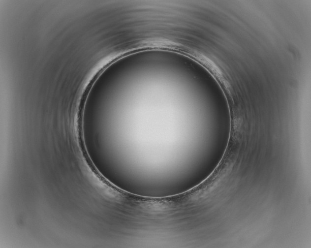 X0000112540947200908171439