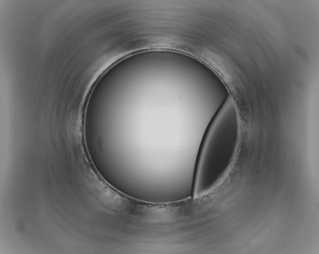 X0000112540948200908171439
