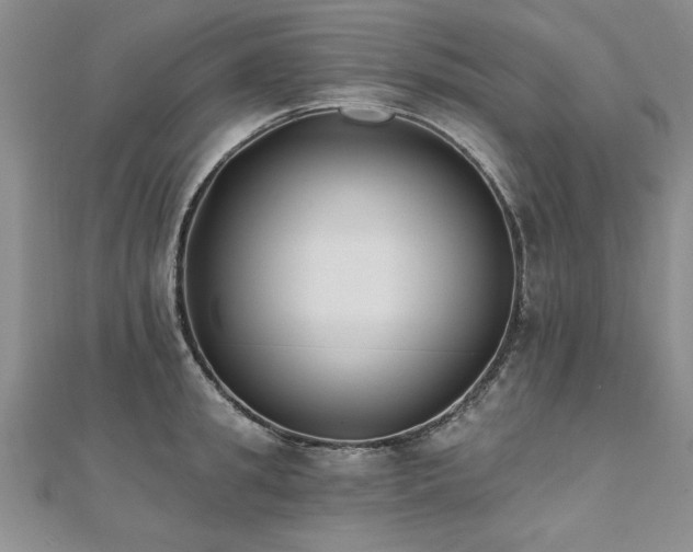 X0000112540949200908171439