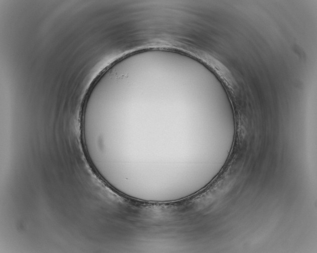 X0000112540950200908171439