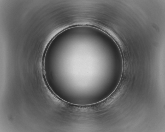 X0000112540951200908171439