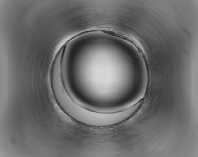 X0000112540952200908171439