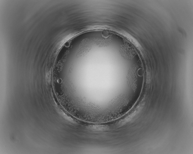 X0000112540953200908171439