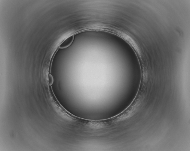 X0000112540954200908171439