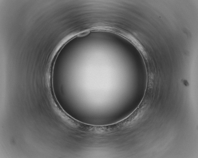 X0000112540955200908171439