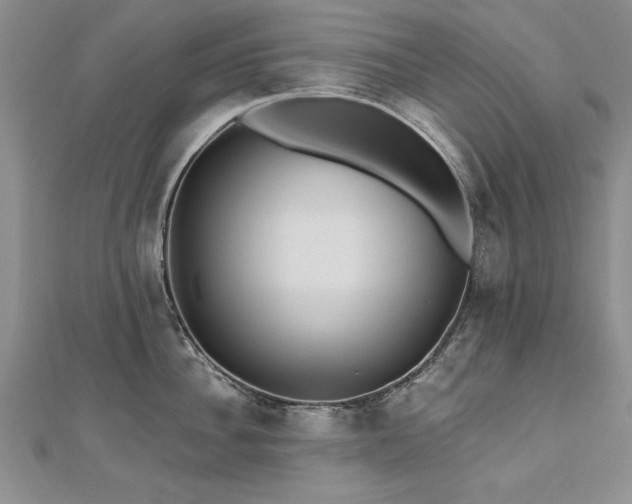 X0000112540956200908171439