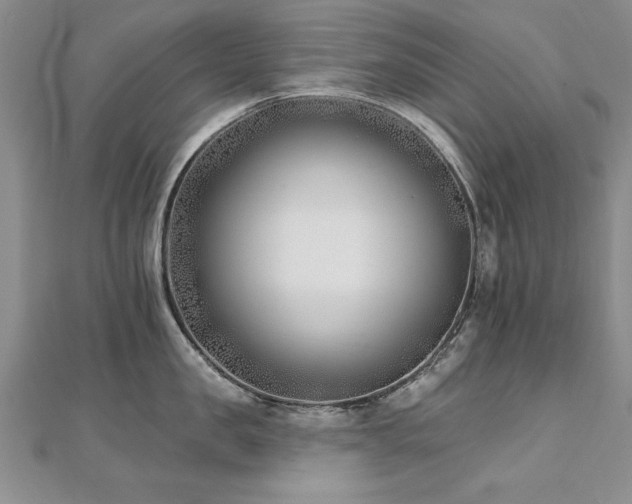 X0000112540957200908171439